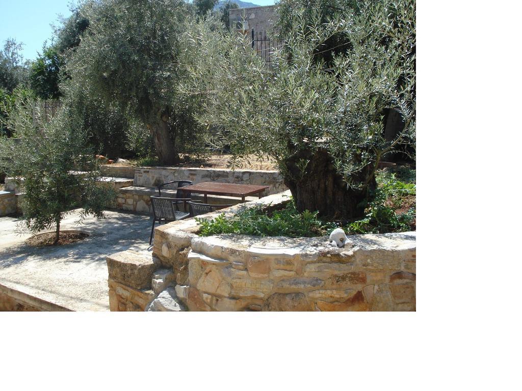 Athina Ecofarm Lejlighed Epidaurus Eksteriør billede
