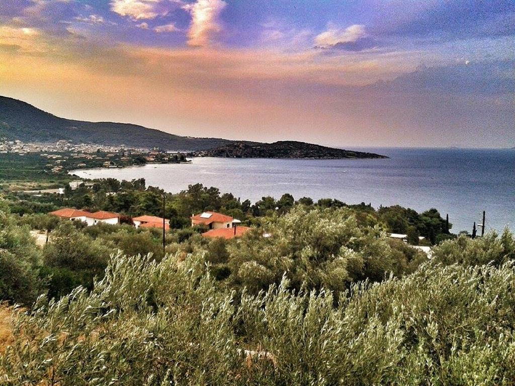 Athina Ecofarm Lejlighed Epidaurus Eksteriør billede