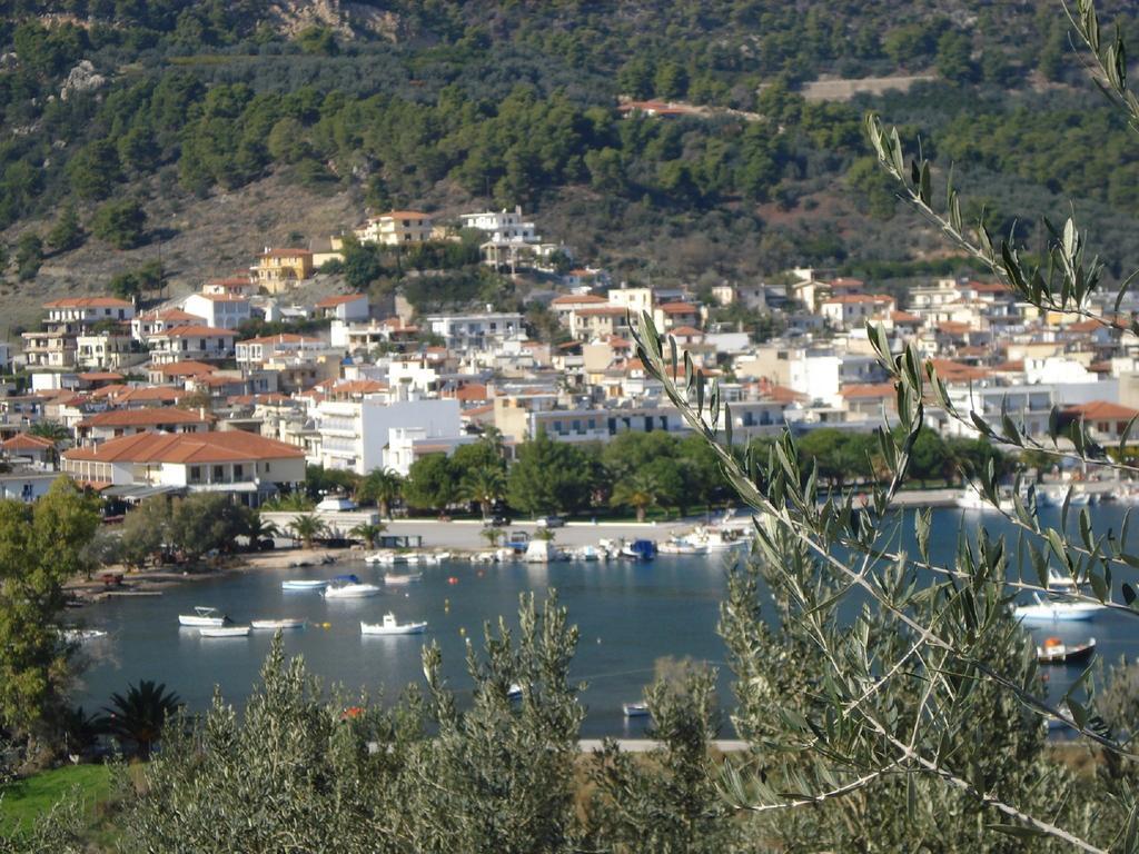 Athina Ecofarm Lejlighed Epidaurus Eksteriør billede