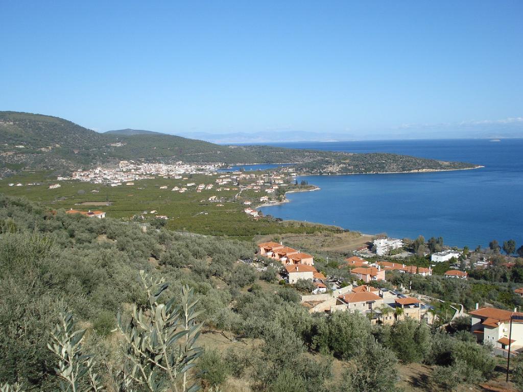 Athina Ecofarm Lejlighed Epidaurus Eksteriør billede
