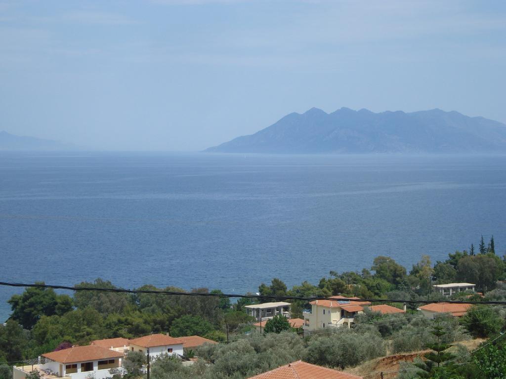 Athina Ecofarm Lejlighed Epidaurus Eksteriør billede